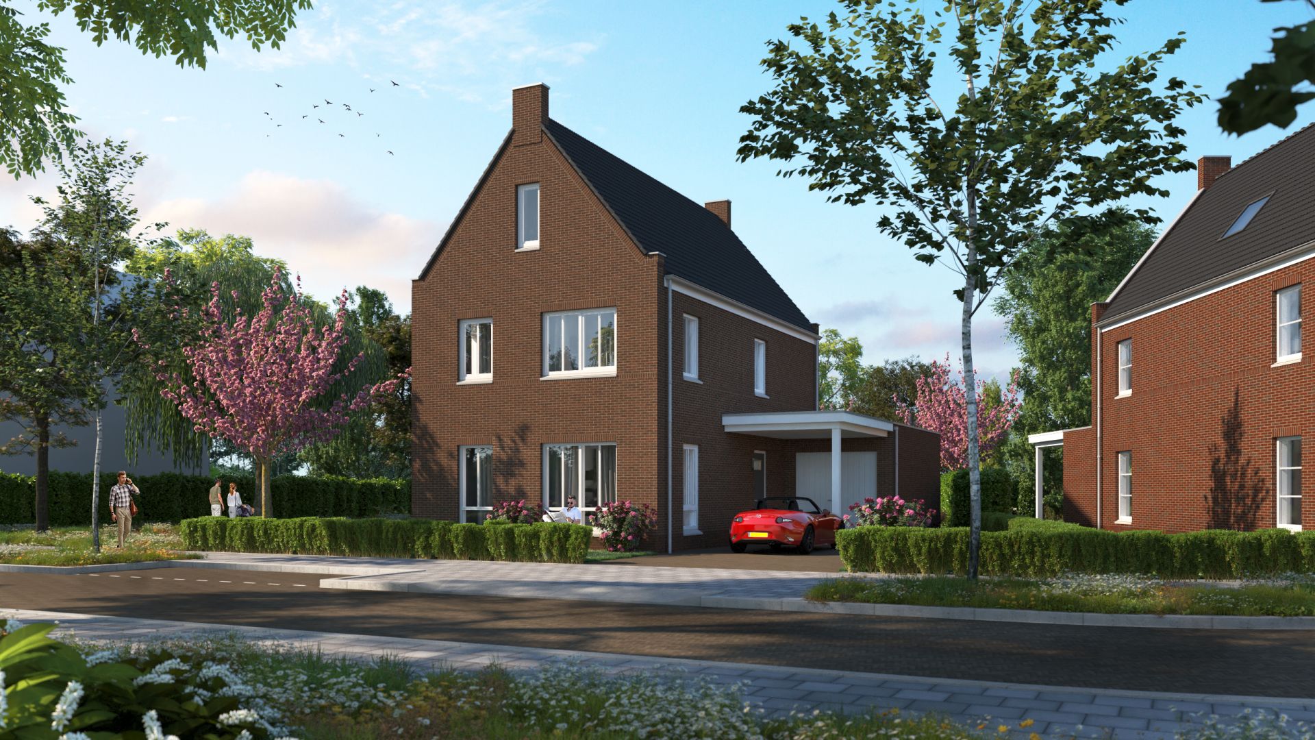 Akkerrande_Oudenhoorn_bnr. 1