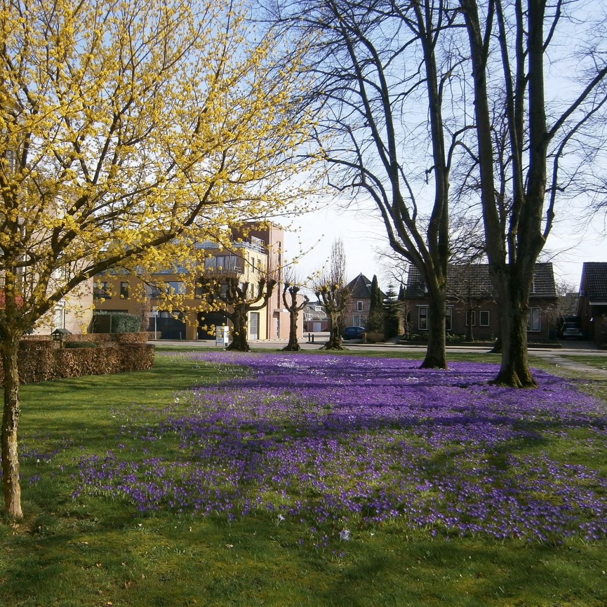 nieuwbouw_heemtuin_nijverdal_centrum