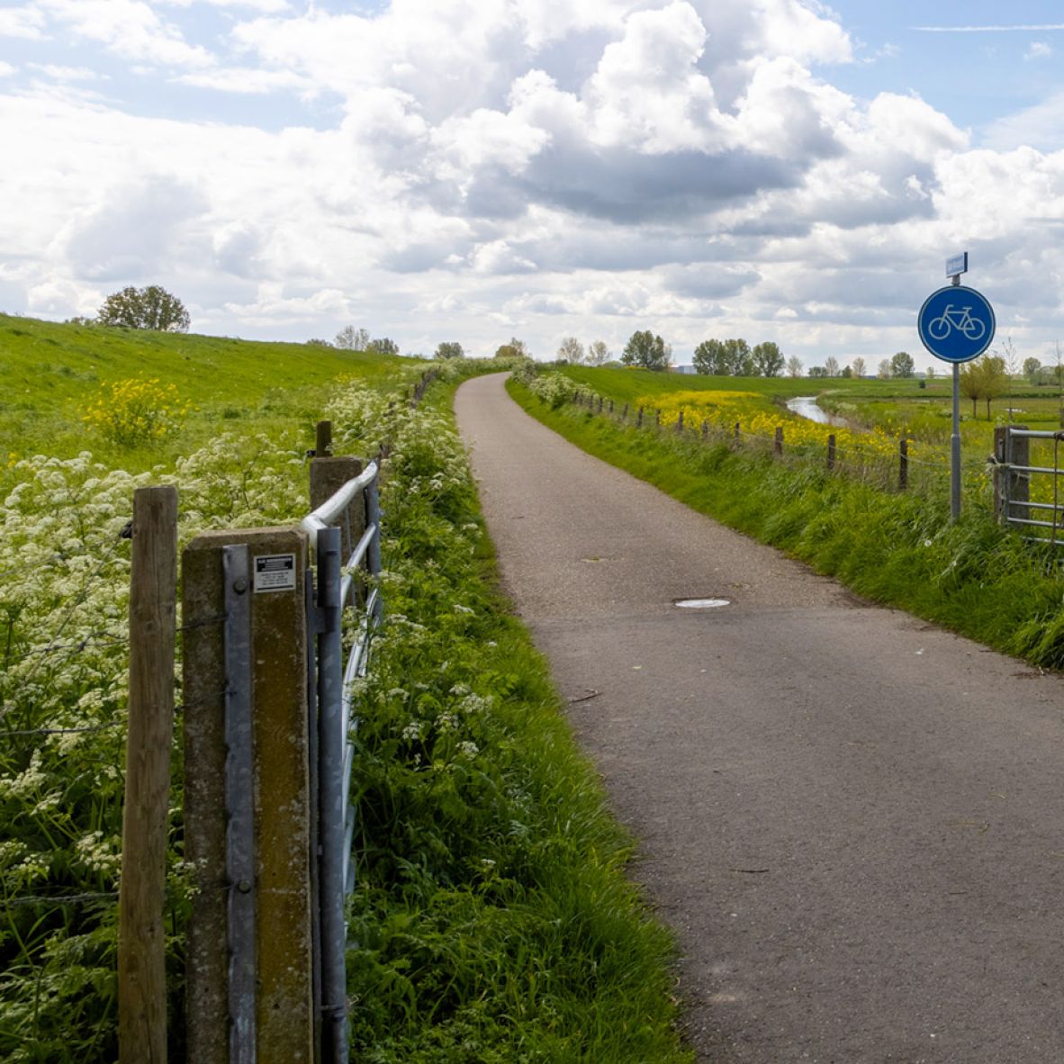 nieuwbouw Drongelen