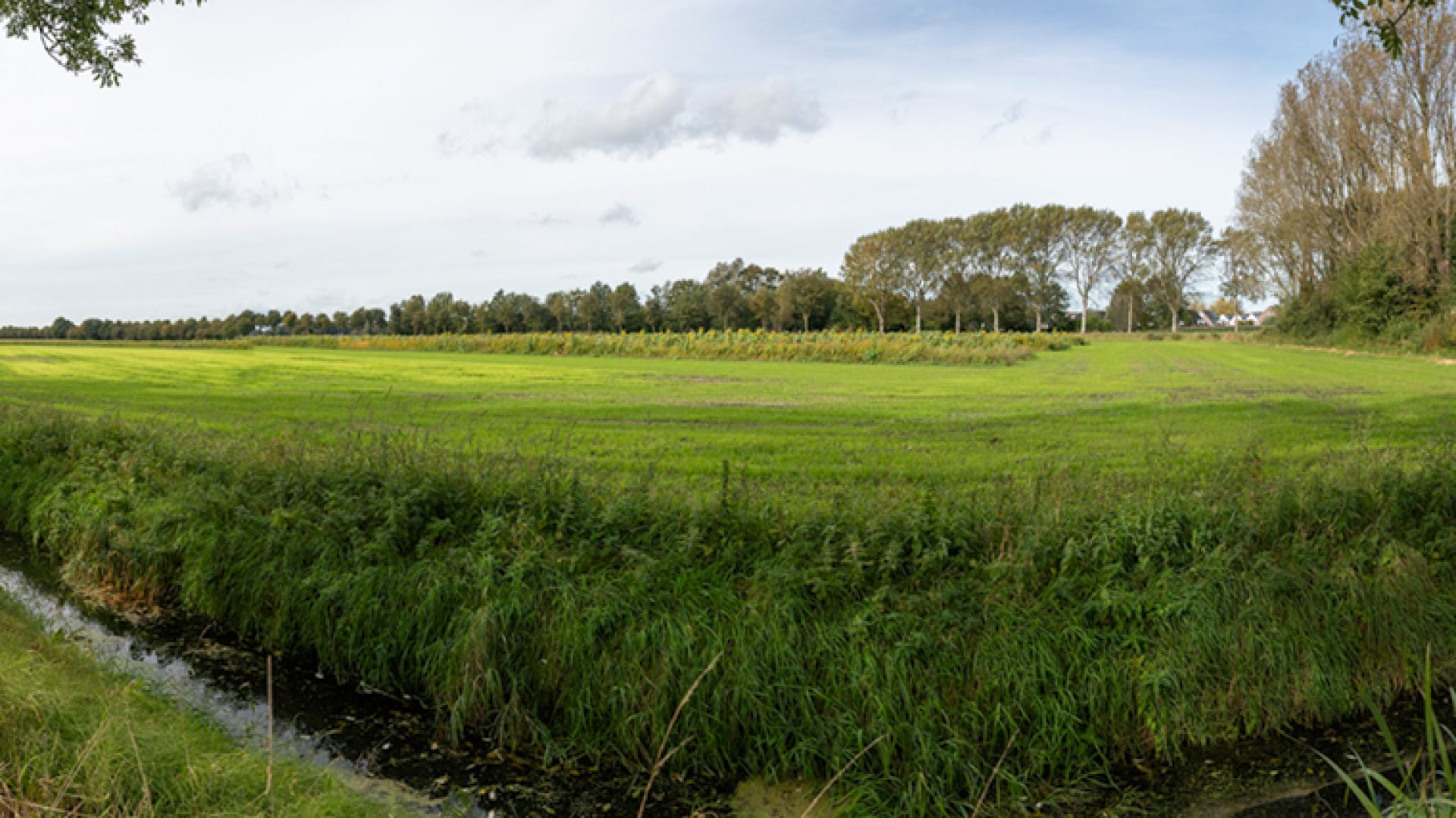 nieuwbouw peelkant