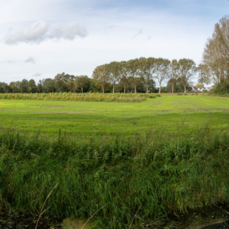nieuwbouw peelkant