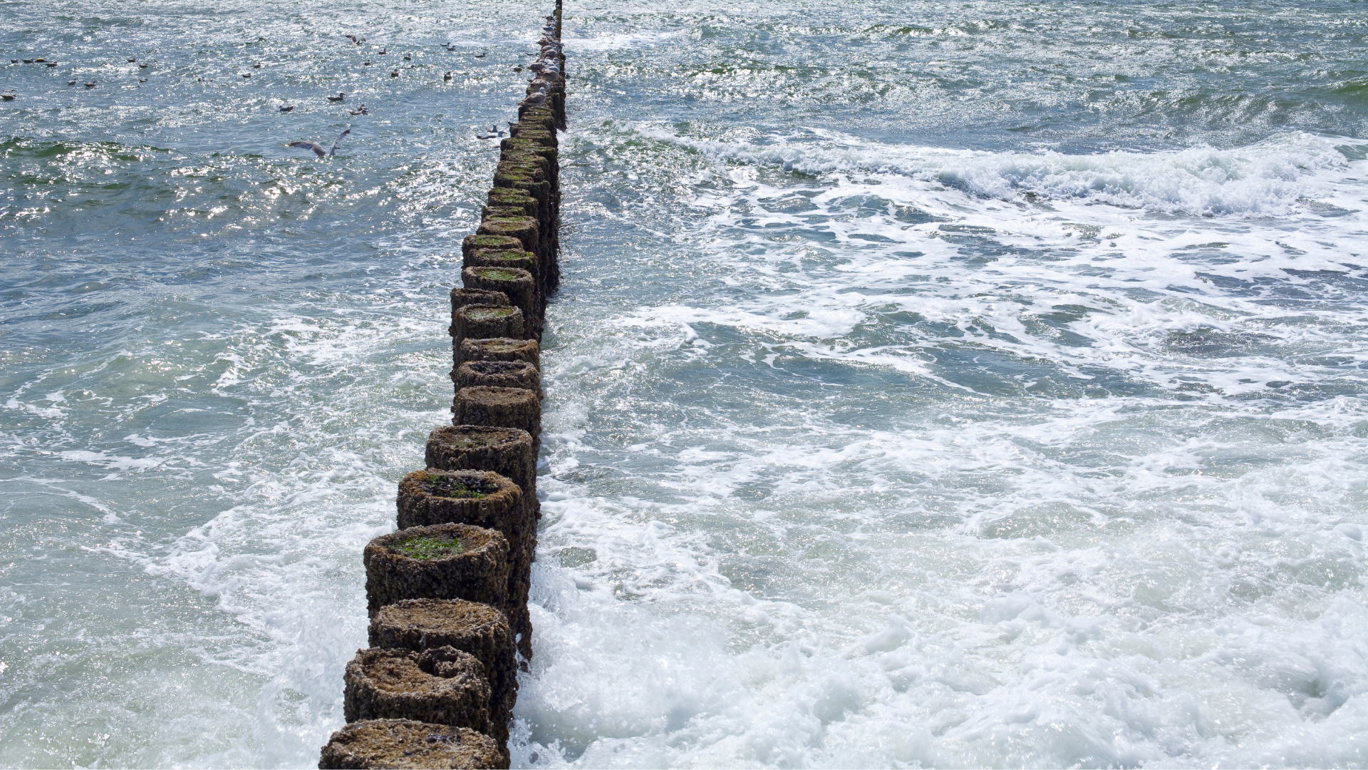 nieuwbouw Hellevoetsluis