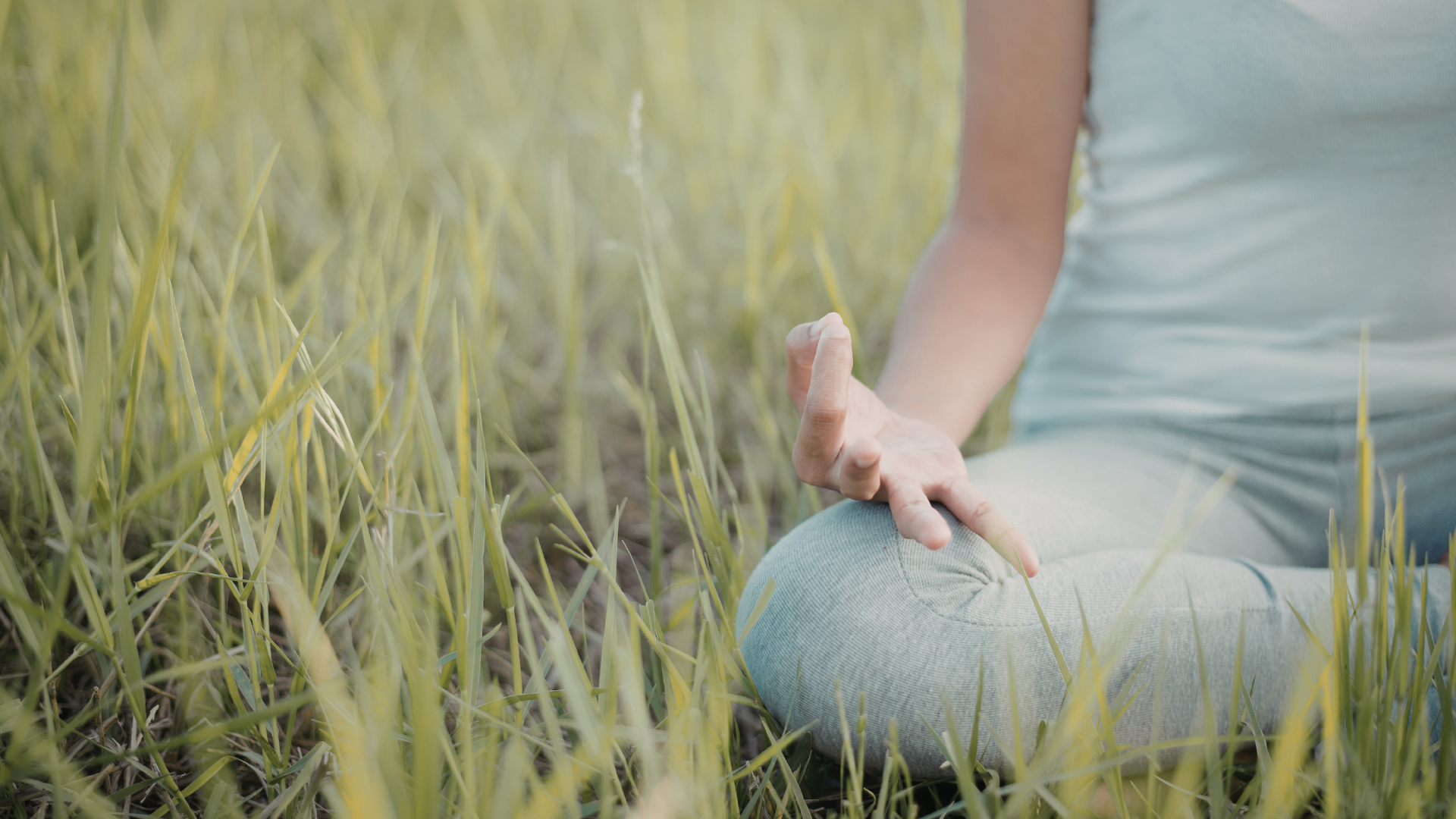 nieuwbouw parkvillas tolbert