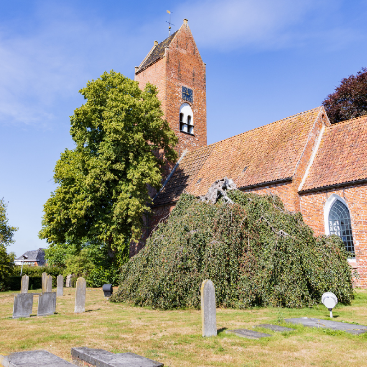 nieuwbouw parkvilla tolbert sintmaheerdt