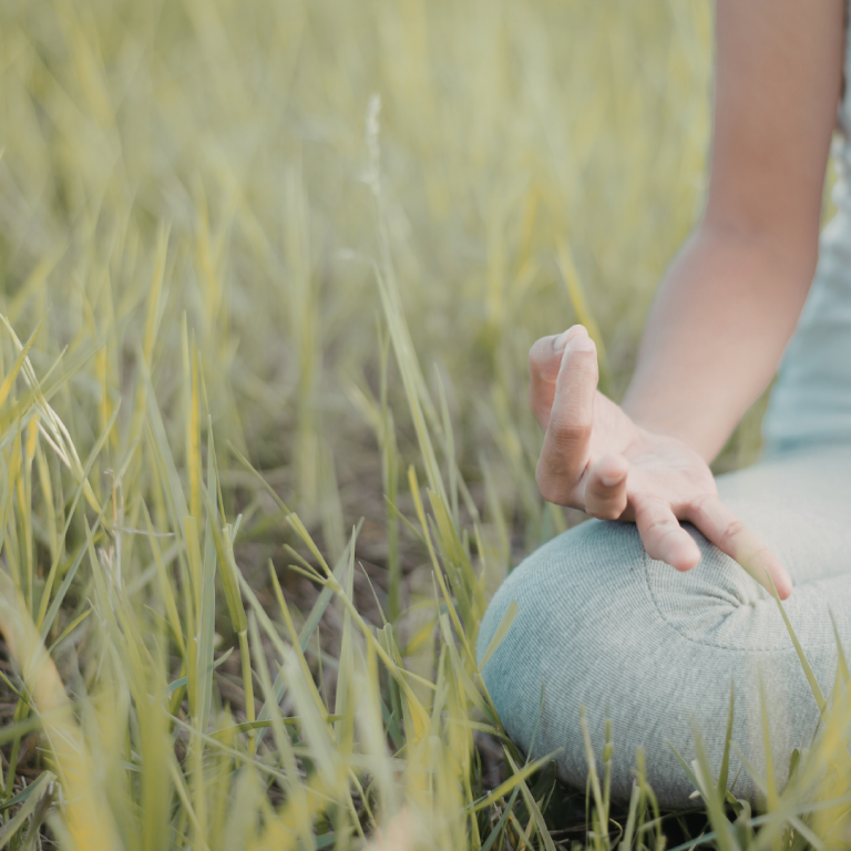 nieuwbouw parkvillas tolbert