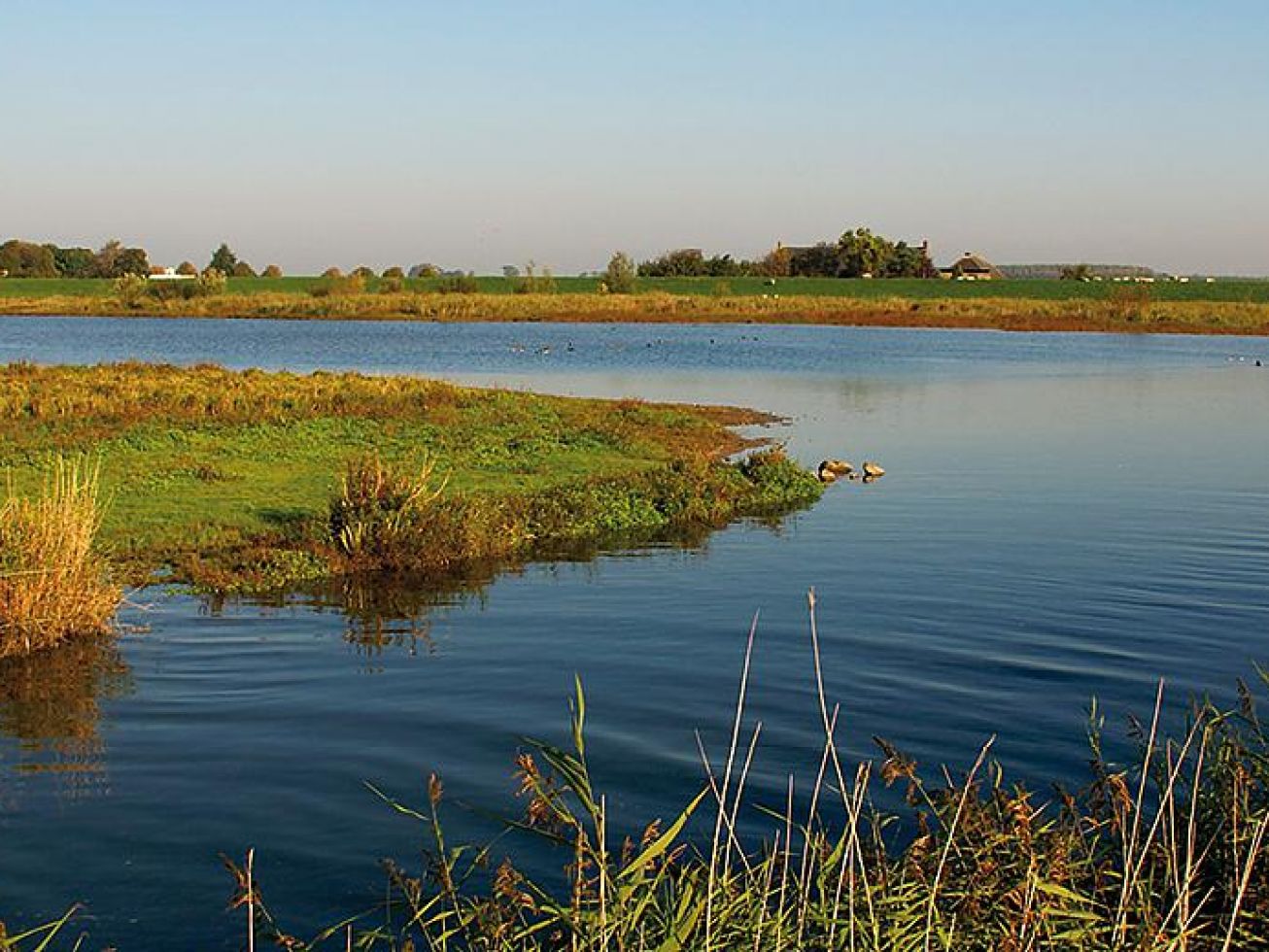 Kreek