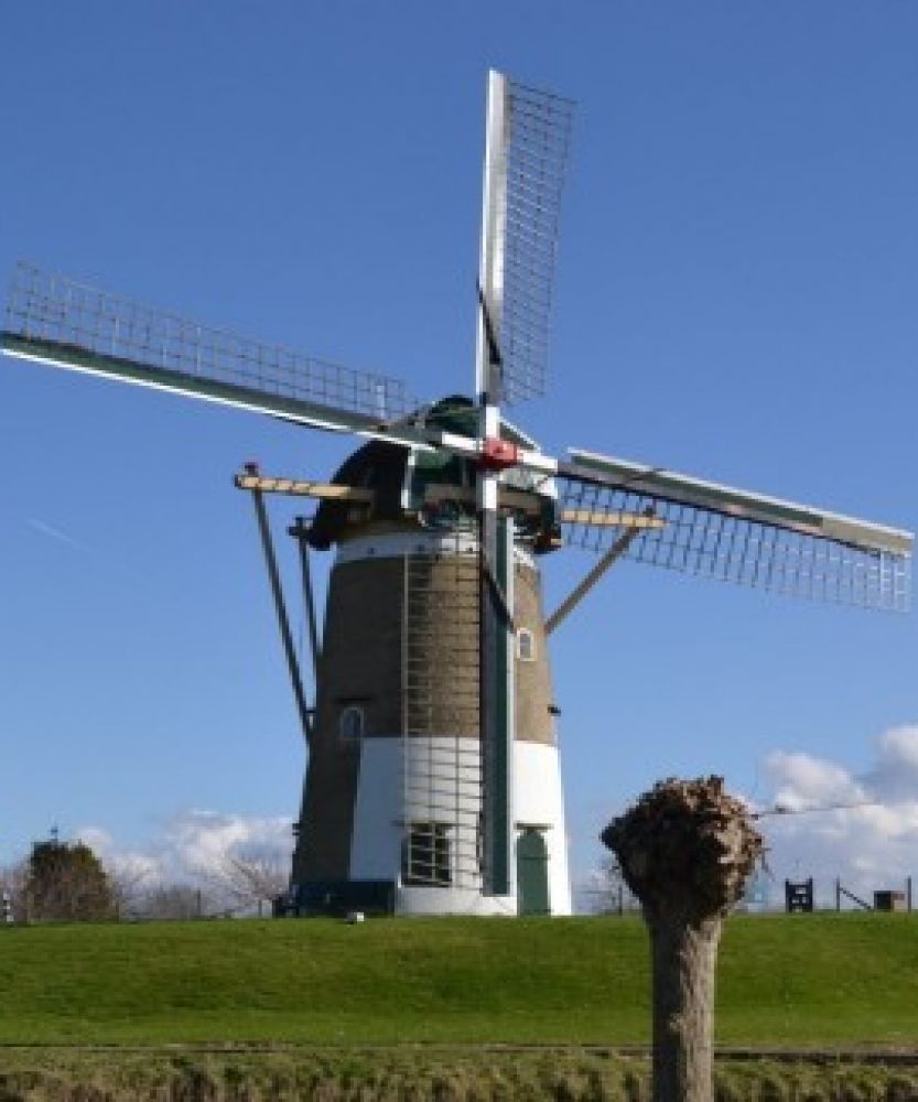 molen