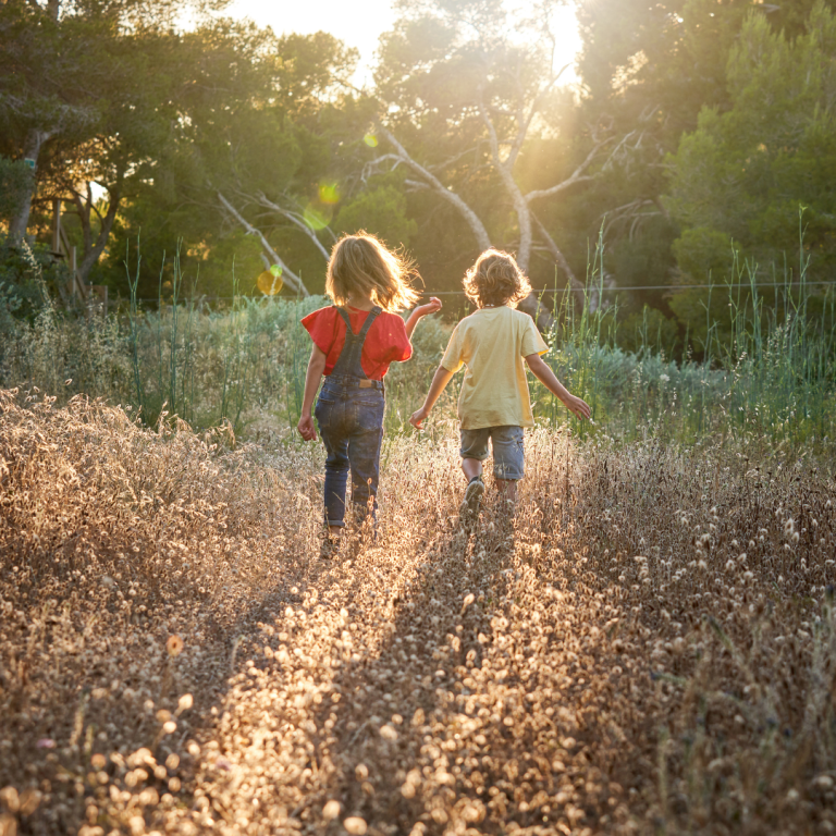 Verkoop gestart: 35 kavels in Zuidpoort Terheijl