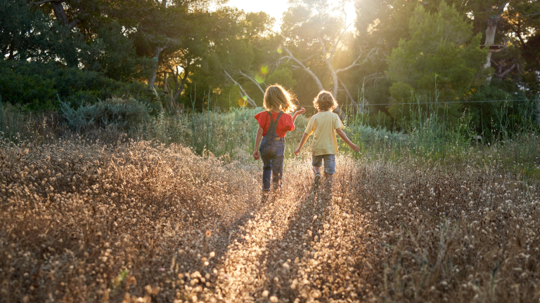 Verkoop gestart: 35 kavels in Zuidpoort Terheijl
