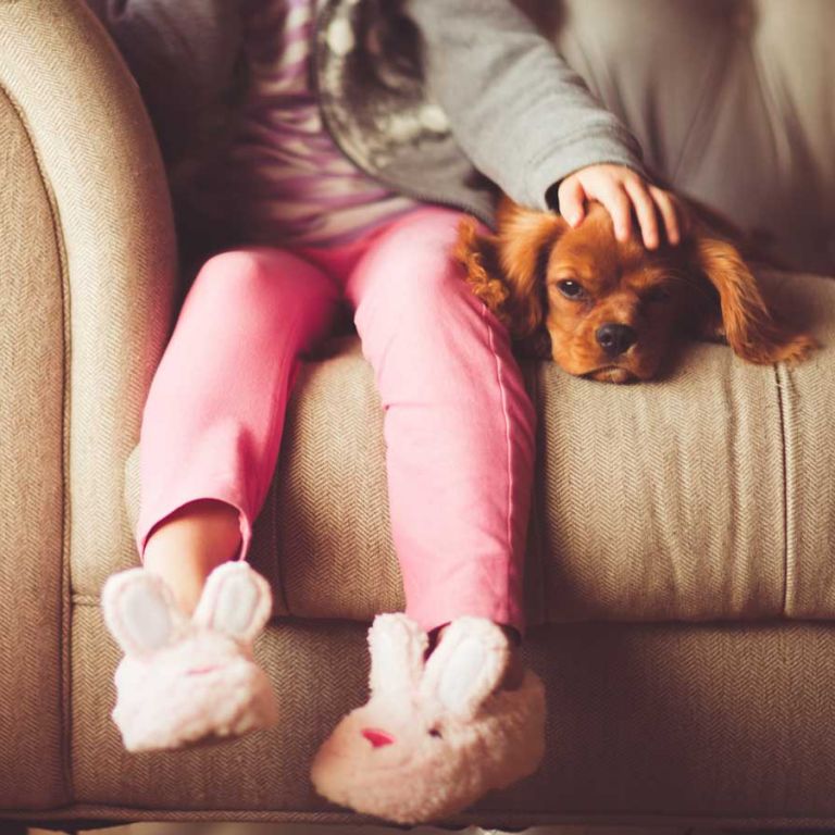 royaalwonen_eeserlandgoed_steenwijk