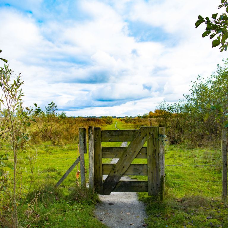 Open Kavel Dag Landgoed De Woldberg